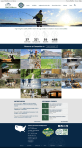 IDPR homepage mockup 2